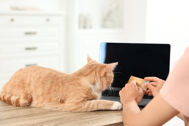 Photo of Online pet shop. Woman with laptop, credit card and cute cat making order at wooden table indoors, closeup