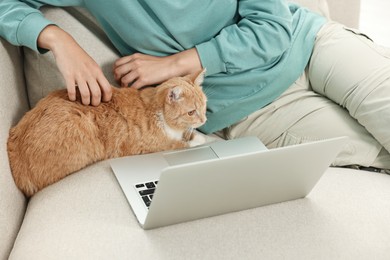 Online pet shop. Woman with laptop and cute cat making order on sofa at home, closeup