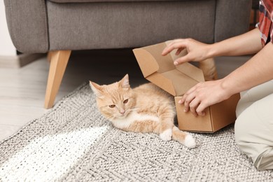 Online pet shop. Woman with cardboard box and cute cat on rug at home, closeup