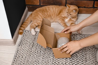 Photo of Online pet shop. Woman with cardboard box and cute cat on rug at home, closeup