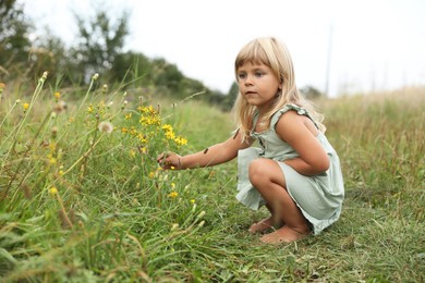 Photo of Cute little girl picking flowers at meadow. Child enjoying beautiful nature