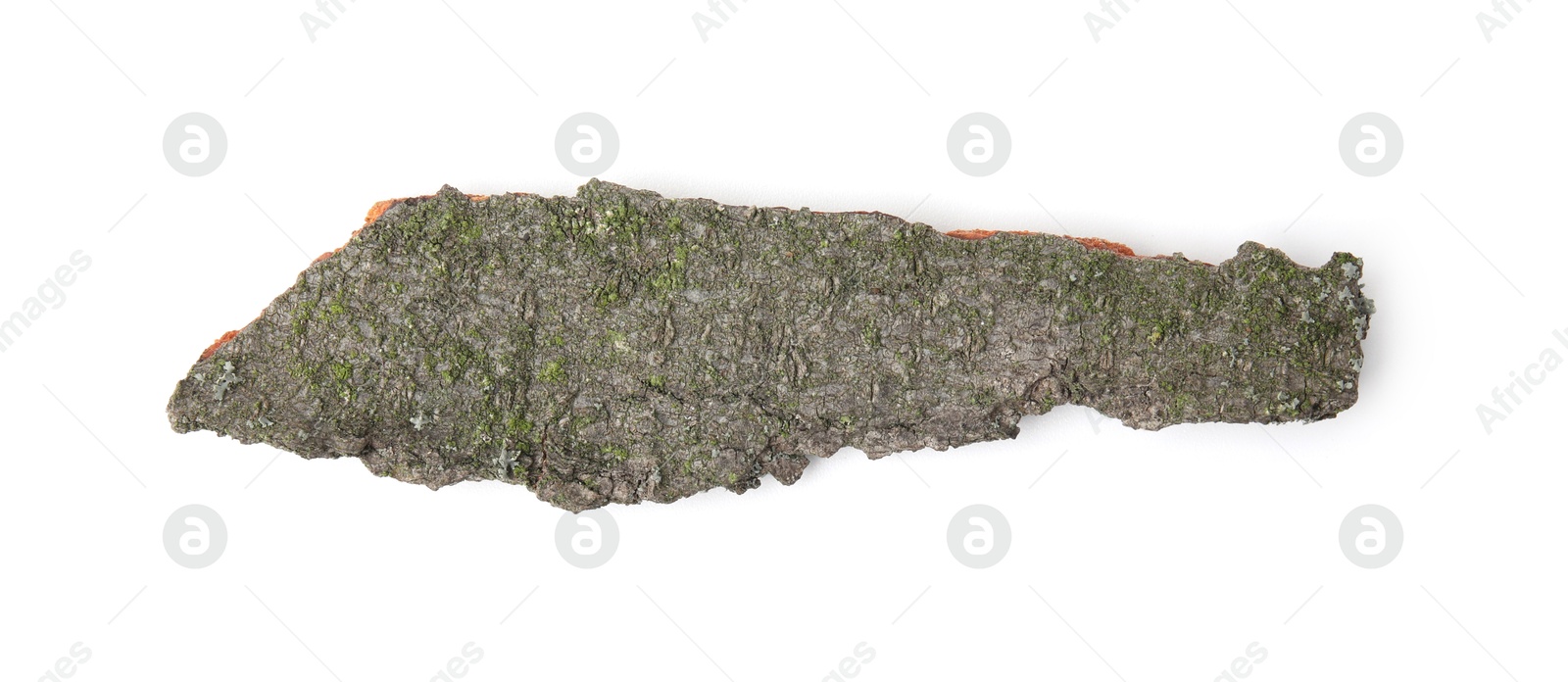 Photo of One piece of tree bark isolated on white, top view