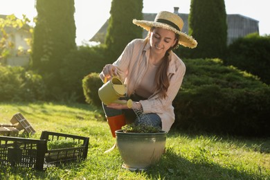 Photo of Smiling woman watering potted seedlings with can outdoors