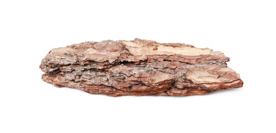 Photo of One piece of tree bark on white background