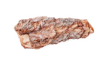 Photo of One piece of tree bark on white background, top view