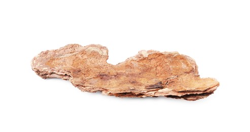 Photo of One piece of tree bark on white background