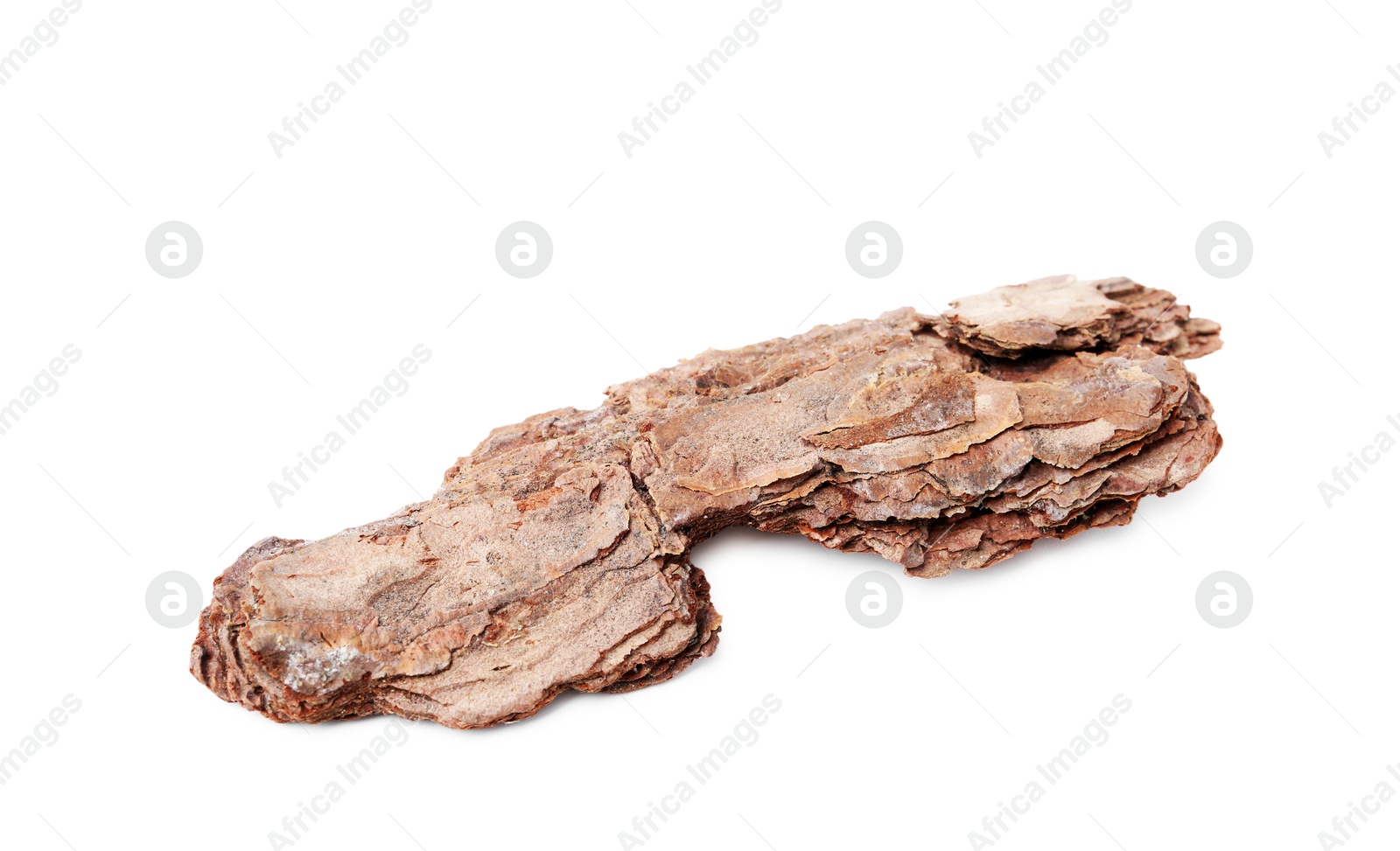 Photo of One piece of tree bark on white background