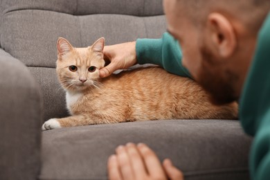 Man petting cute ginger cat on armchair at home, closeup