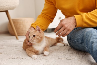 Man petting cute ginger cat on floor at home, closeup