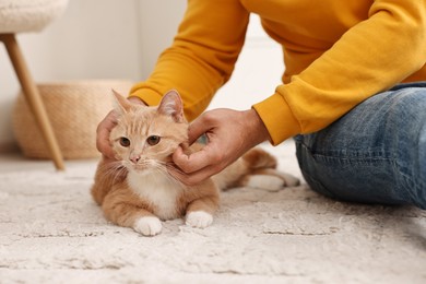 Photo of Man petting cute ginger cat on floor at home, closeup