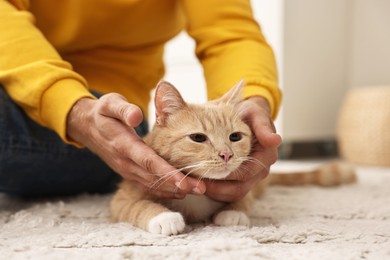 Man petting cute ginger cat on floor at home, closeup