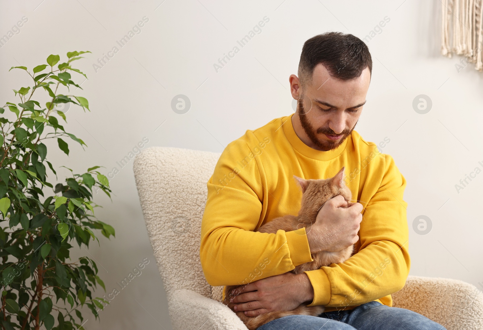 Photo of Man petting cute ginger cat on armchair at home