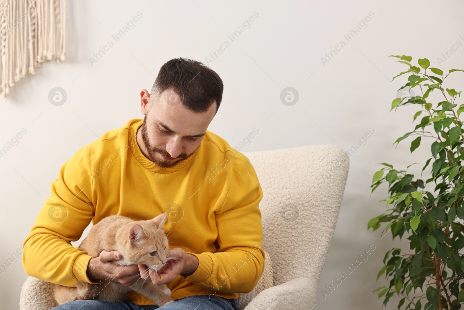 Photo of Man petting cute ginger cat on armchair at home