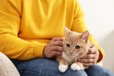 Man petting cute ginger cat on armchair at home, closeup