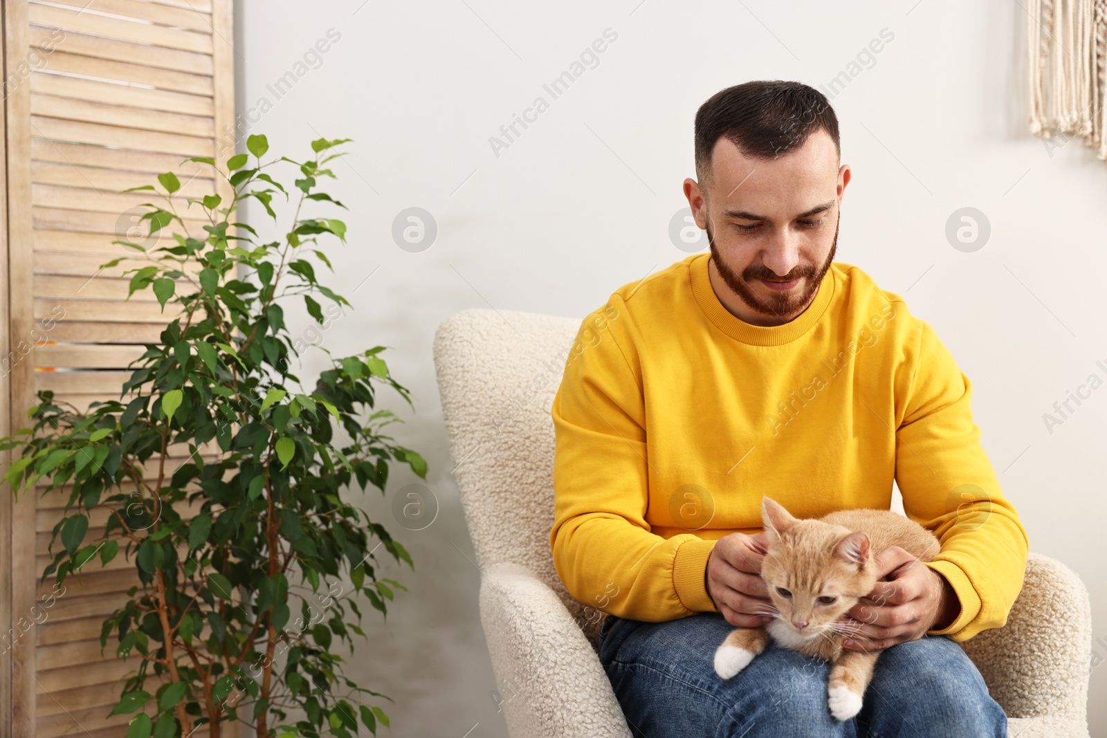 Photo of Man petting cute ginger cat on armchair at home