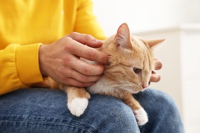 Man petting cute ginger cat on armchair at home, closeup