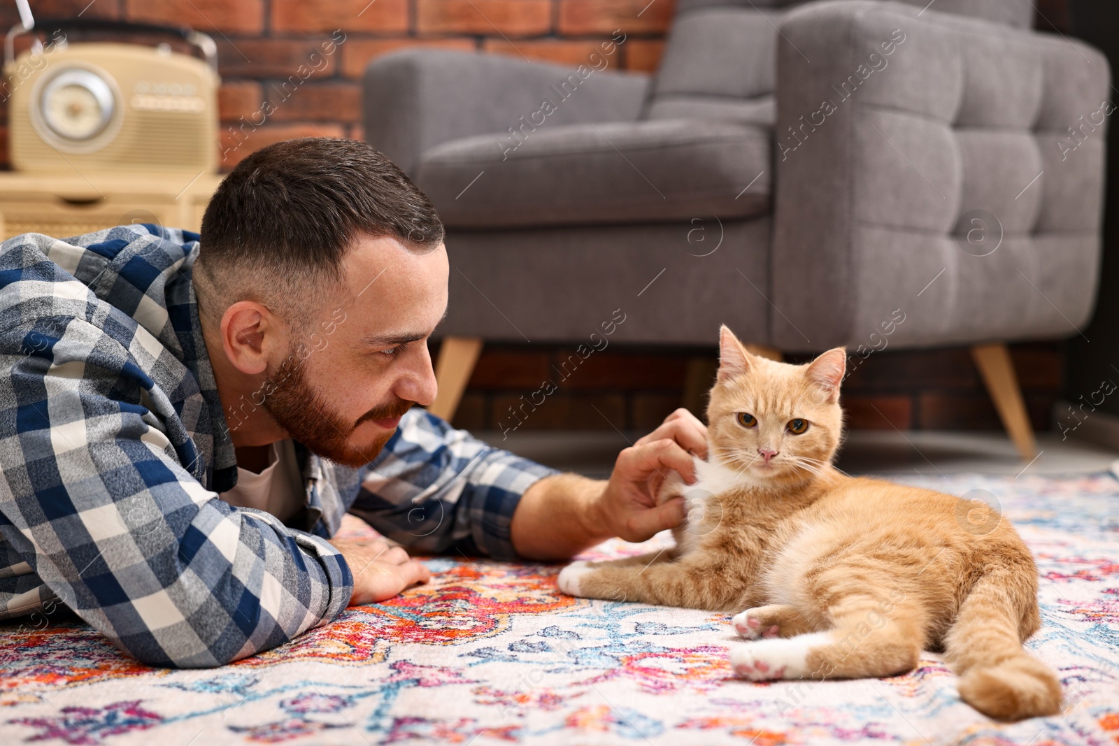 Photo of Man petting cute ginger cat on floor at home