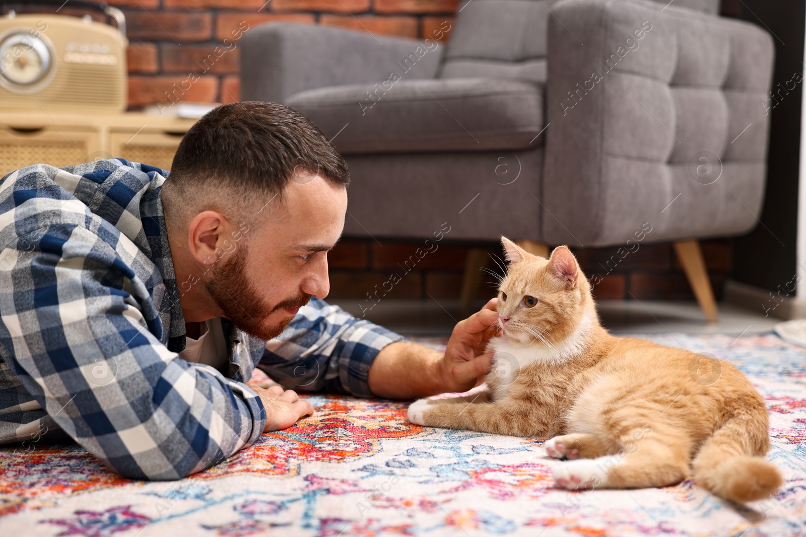 Photo of Man petting cute ginger cat on floor at home