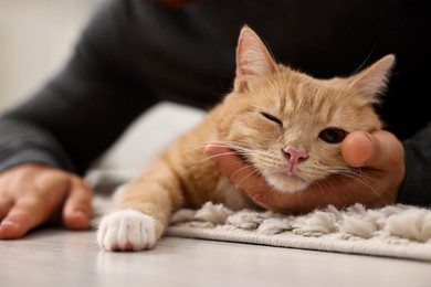 Photo of Man petting cute ginger cat on floor at home, closeup