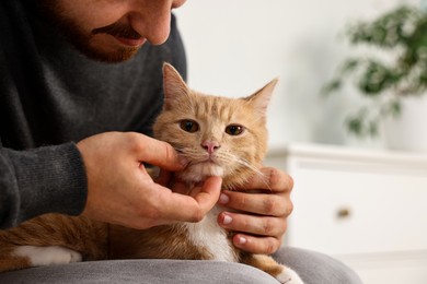 Photo of Man petting cute ginger cat on sofa at home, closeup