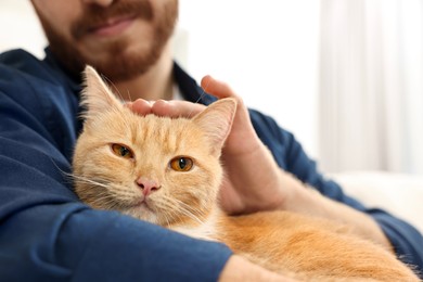 Photo of Man petting cute ginger cat on sofa at home, closeup