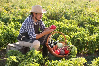 Photo of Harvesting season. Farmer with wicker basket of fresh vegetables in field on sunny day