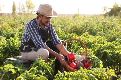 Photo of Harvesting season. Farmer with wicker basket of fresh vegetables in field on sunny day