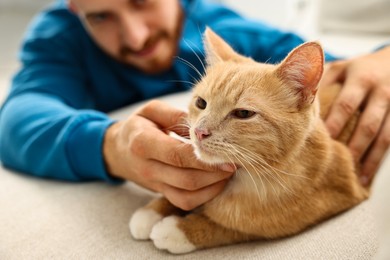 Photo of Man petting cute ginger cat on sofa at home, selective focus