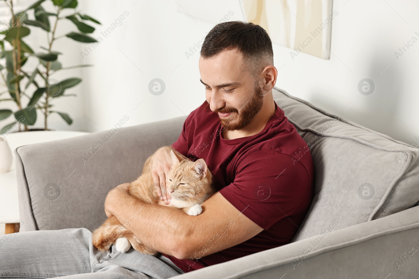 Photo of Man petting cute ginger cat on armchair at home