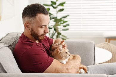 Man petting cute ginger cat on armchair at home