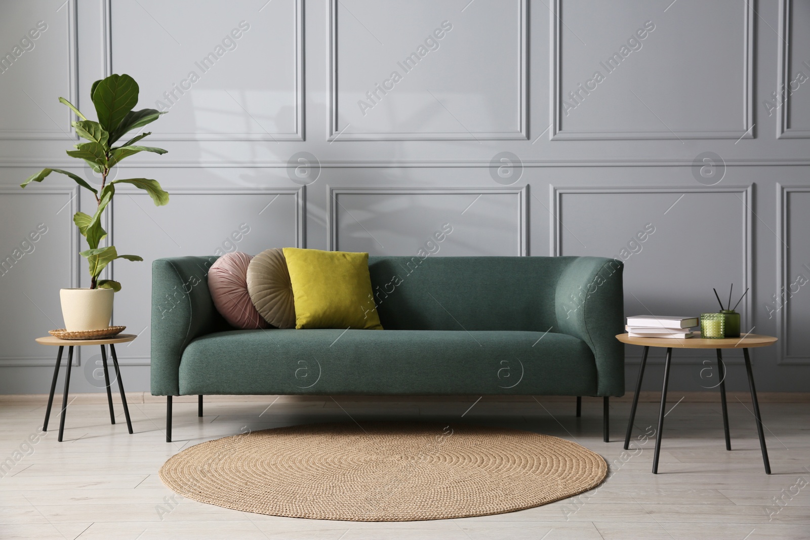 Photo of Comfortable sofa, houseplant and side table near grey wall in room