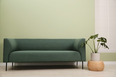 Photo of Stylish sofa and houseplant near green wall indoors