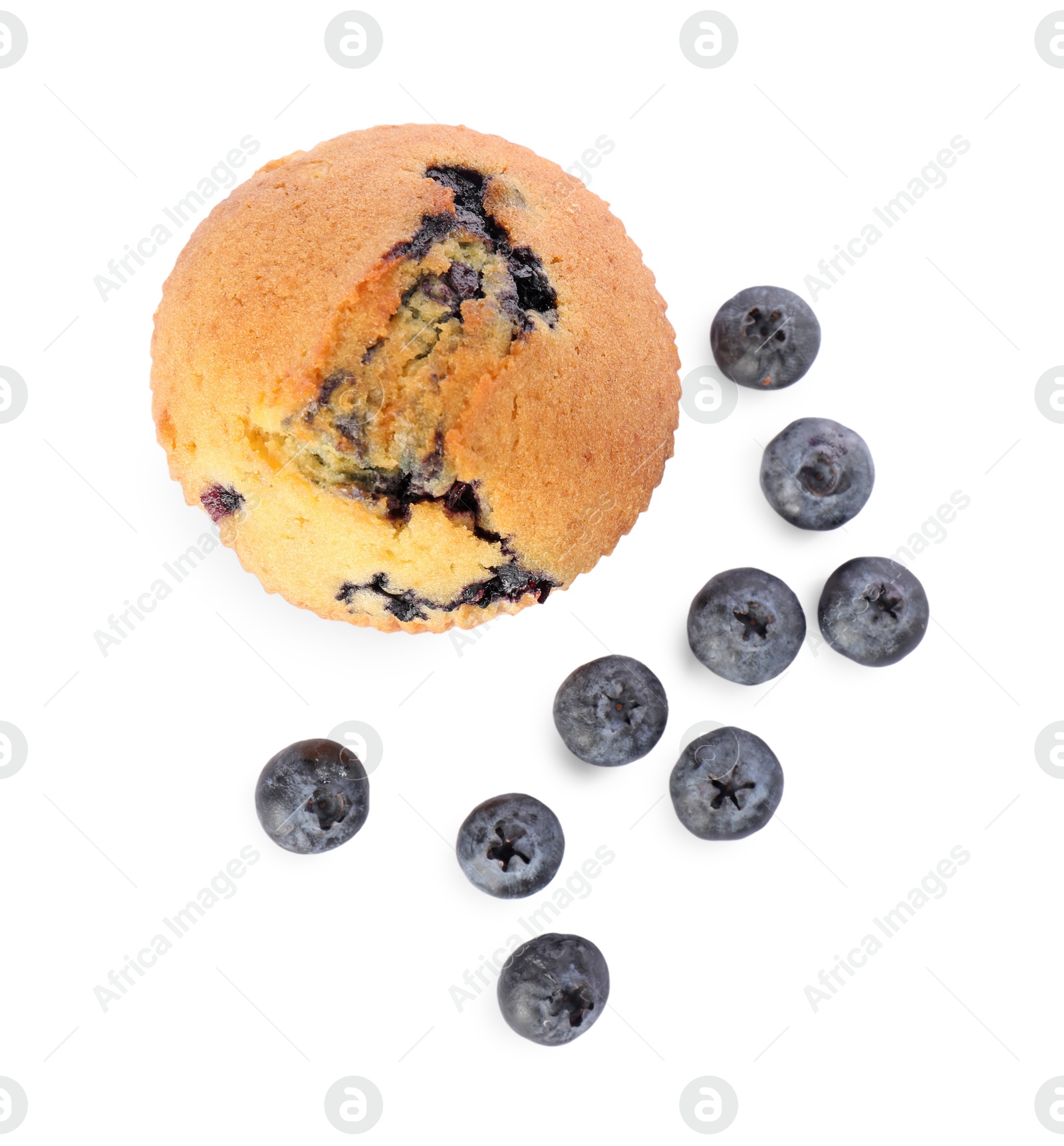 Photo of Delicious sweet muffins with blueberries isolated on white, top view