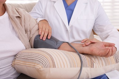 Doctor measuring patient's blood pressure indoors, closeup