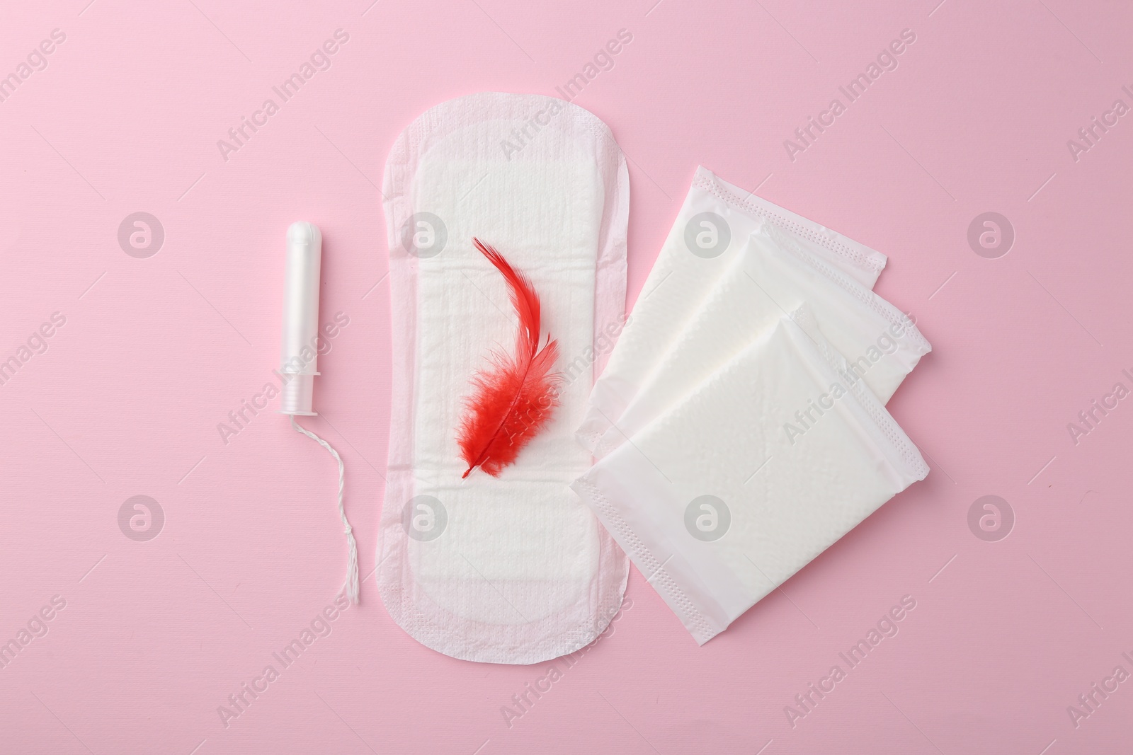 Photo of Menstrual pads, red feather and tampons on pink background, flat lay