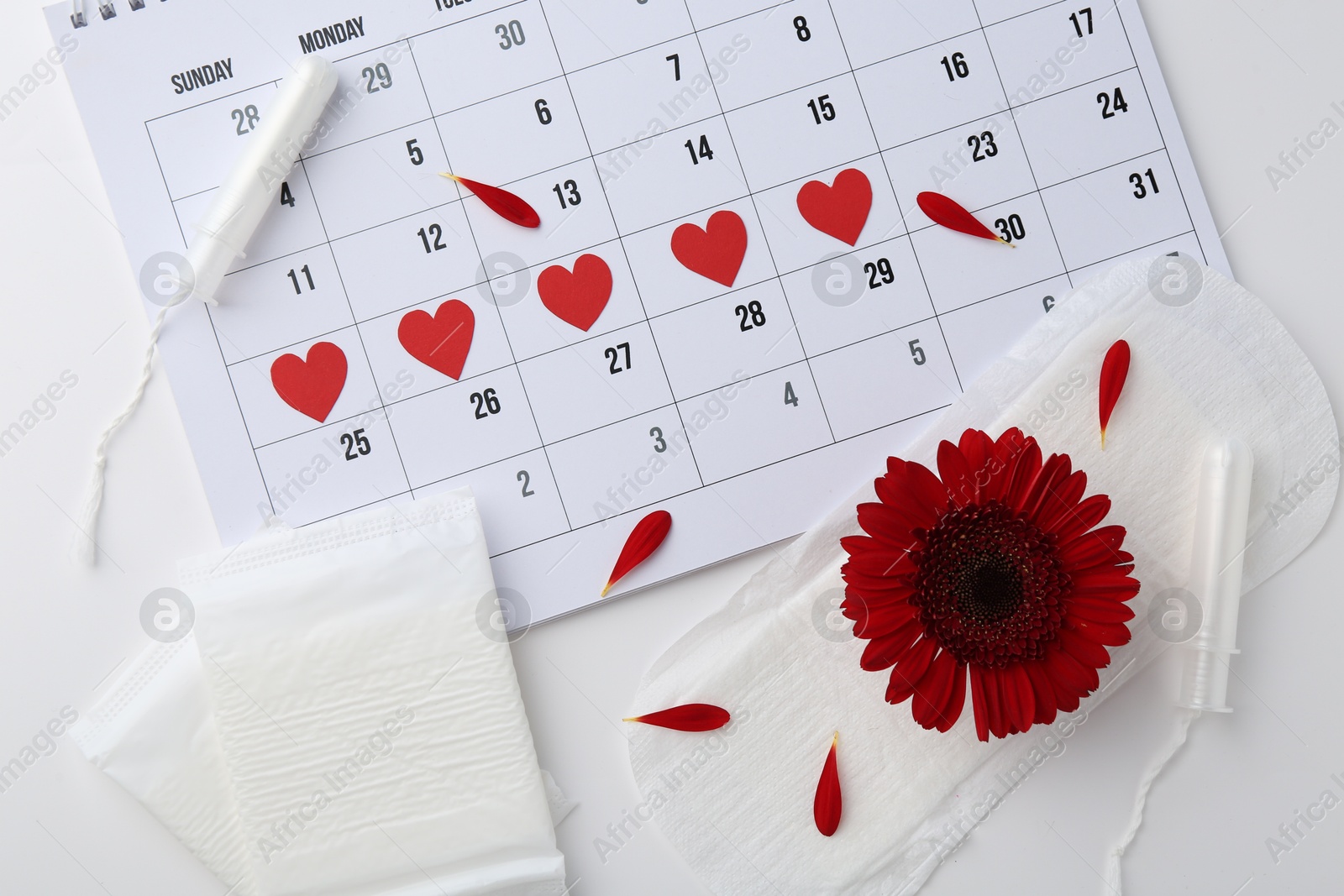 Photo of Flat lay composition with calendar and menstrual products on white background