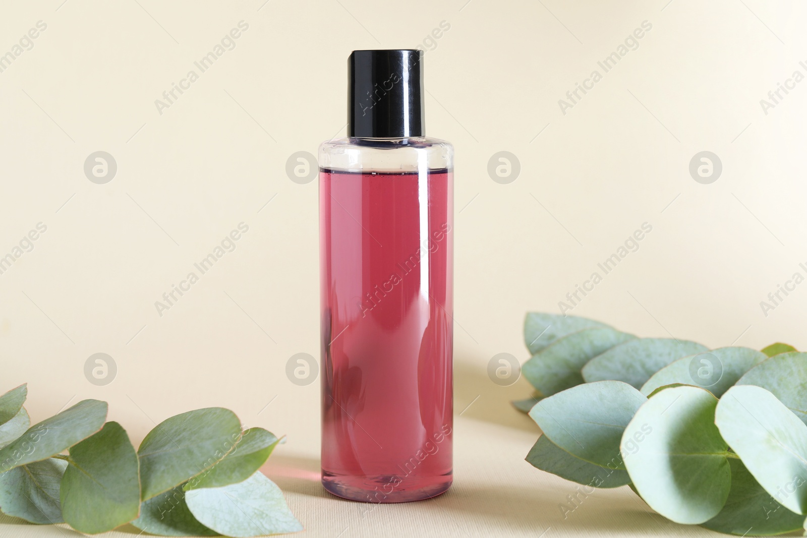 Photo of Shampoo in bottle and green eucalyptus leaves on beige background