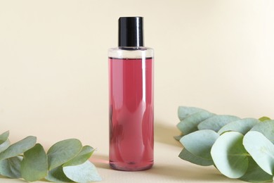 Photo of Shampoo in bottle and green eucalyptus leaves on beige background