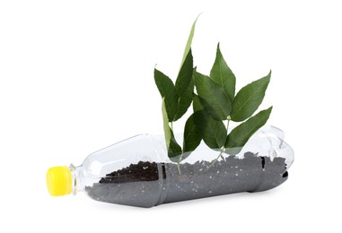 Photo of Recycling concept. Plastic bottle with plant isolated on white