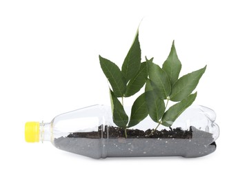 Photo of Recycling concept. Plastic bottle with plant isolated on white