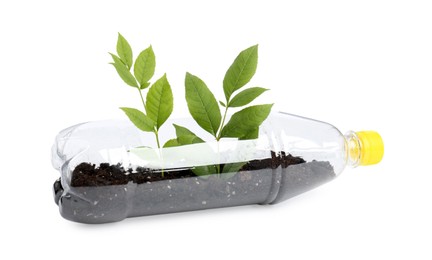 Photo of Recycling concept. Plastic bottle with plant isolated on white