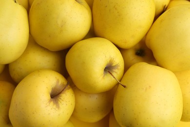 Photo of Fresh ripe yellow apples as background, above view