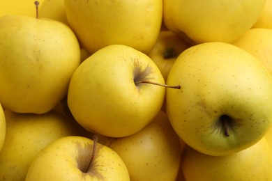 Photo of Fresh ripe yellow apples as background, closeup