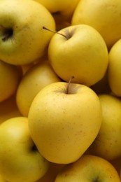 Photo of Fresh ripe yellow apples as background, closeup