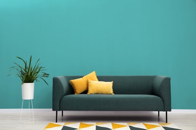 Image of Stylish room with comfortable sofa and houseplant near turquoise color wall. Interior design