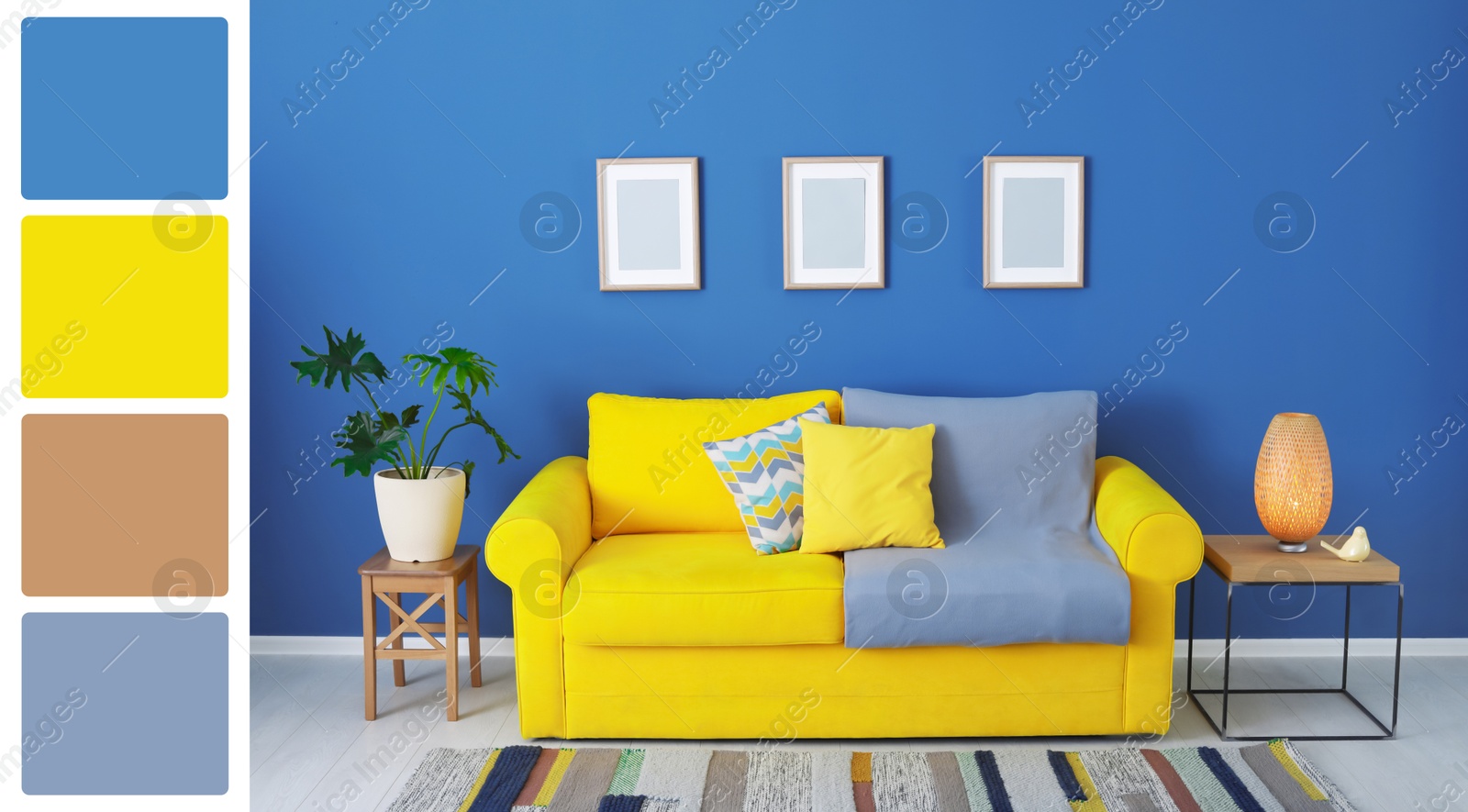 Image of Stylish living room with comfortable yellow sofa near blue color wall. Interior design and matching color palette