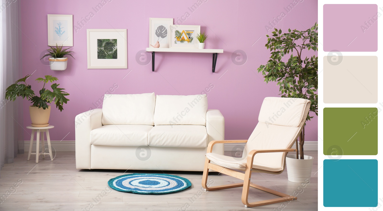 Image of Stylish living room with comfortable sofa near lilac color wall. Interior design and matching color palette