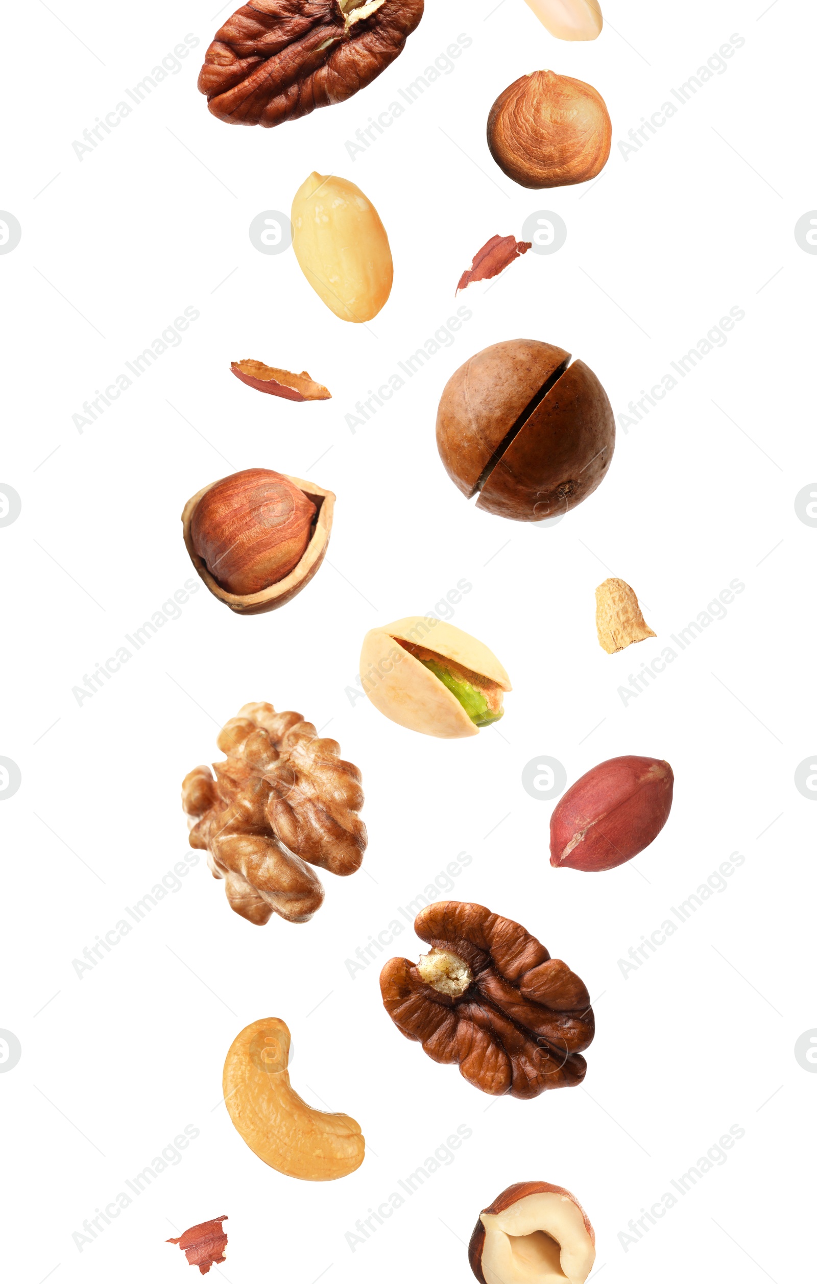 Image of Macadamia and other nuts in air on white background