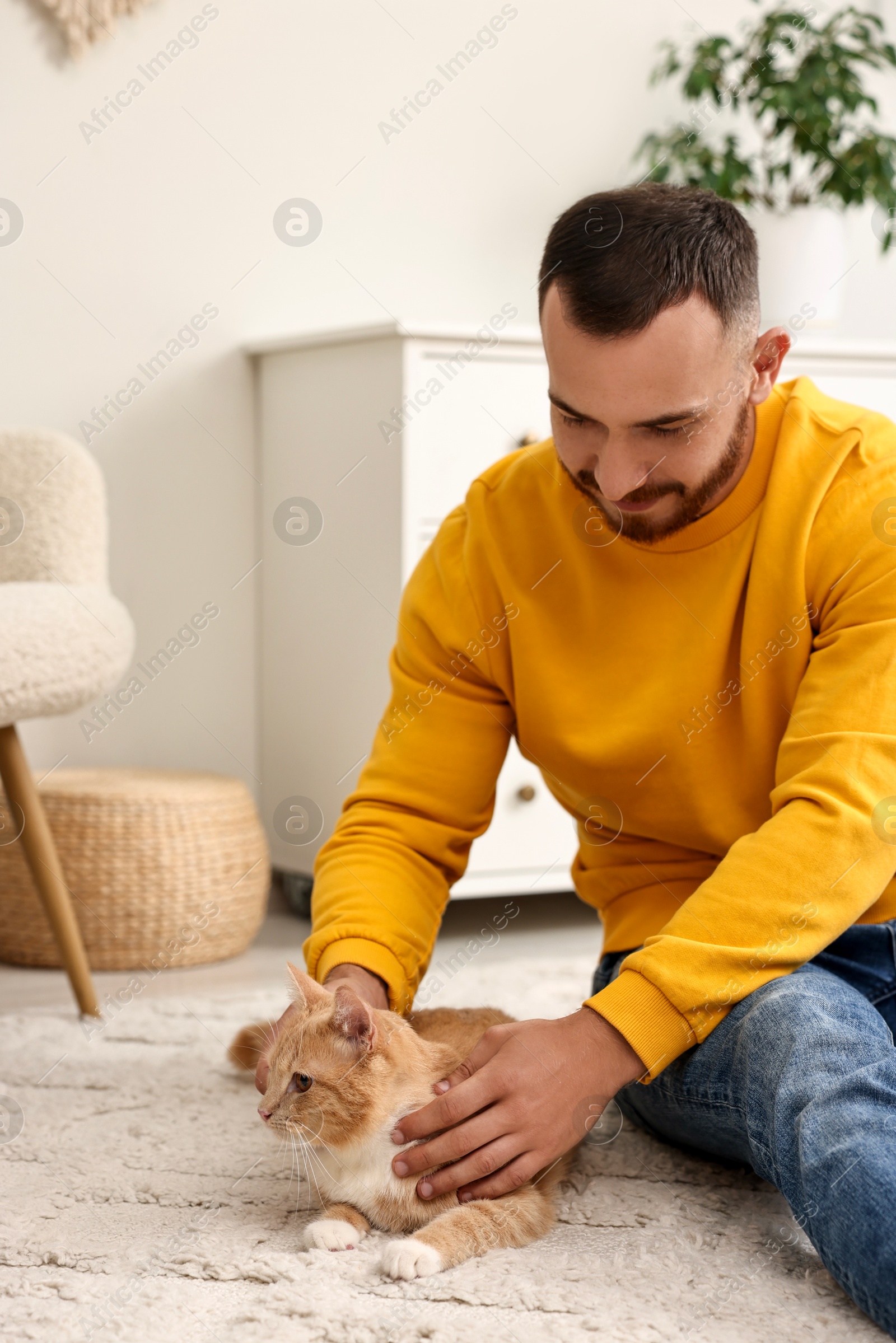 Photo of Man petting cute ginger cat on floor at home