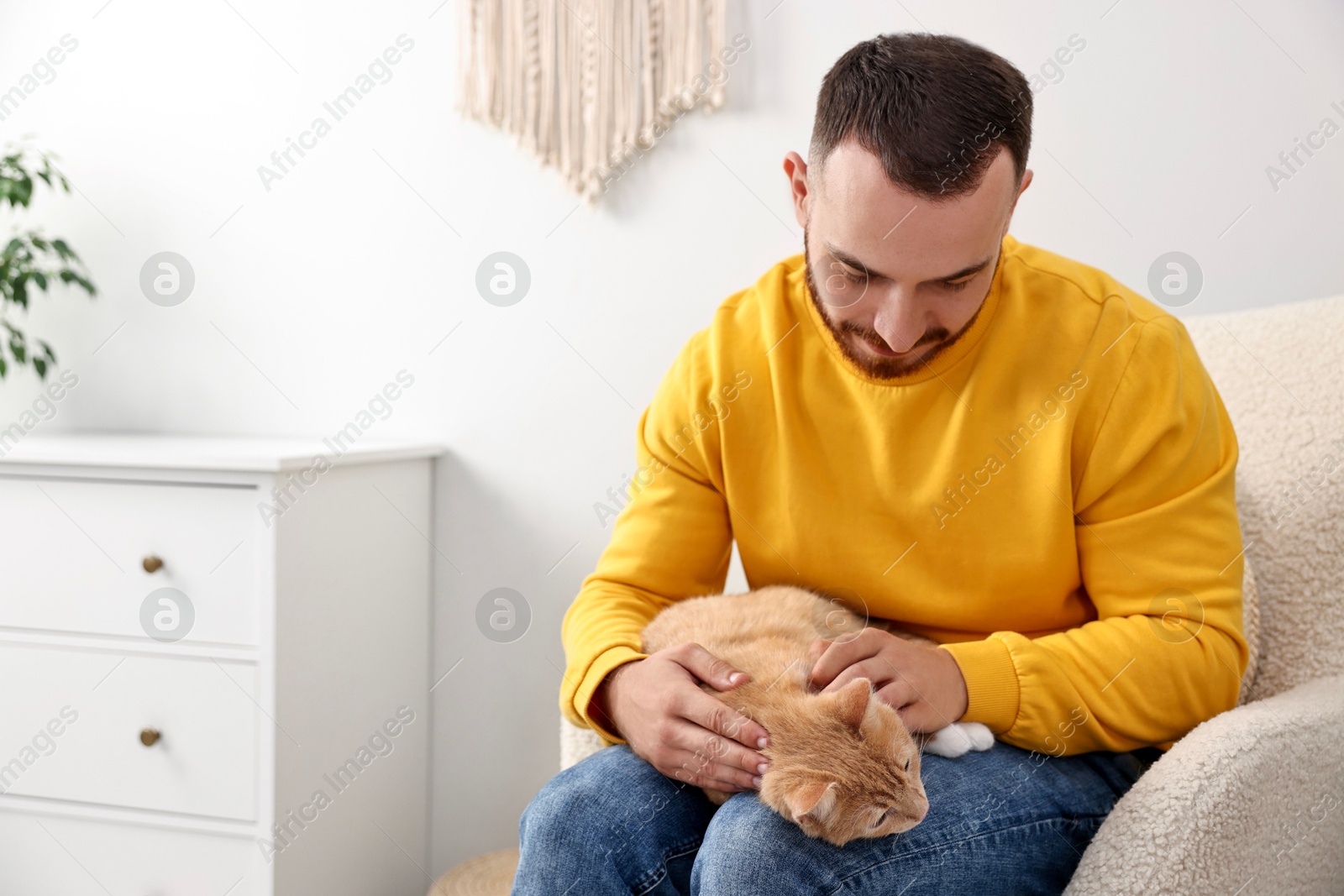 Photo of Man petting cute ginger cat on armchair at home, space for text